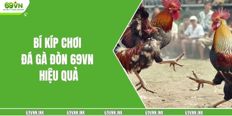 Bí kíp chơi đá gà đòn 69VN hiệu quả